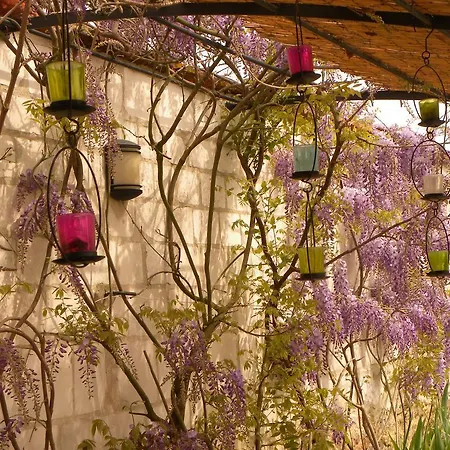 ベッド・アンド・ブレックファスト Entre Cour Et Jardin