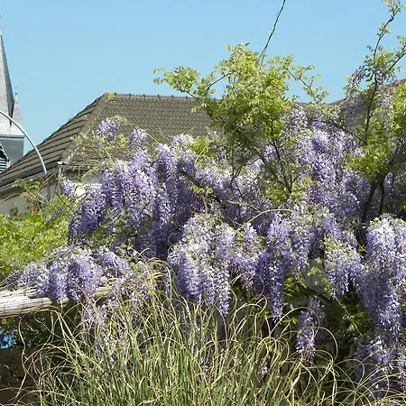 Entre Cour Et Jardin シャロン・アン・シャンパーニュ