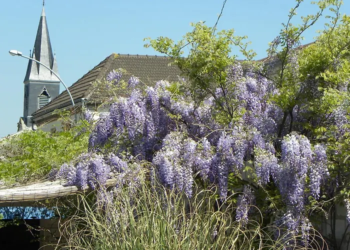 Entre Cour Et Jardin Châlons-en-Champagne